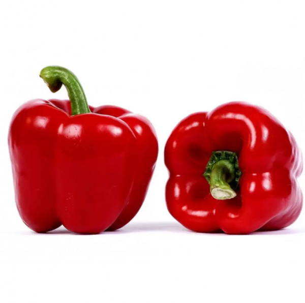 Перець Мазурка F1 (Насіння) Rijk Zwaan - 1000 шт