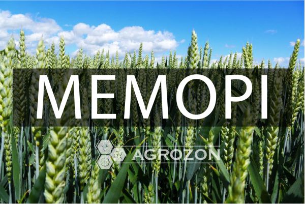 Озима пшениця Меморі Secobra - 1 т