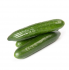 Огірок Мева F1 (Насіння) Rijk Zwaan - 100 шт