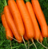 Морковь Бриллианс (1,4-1,6 мм) (Семена) Nunhems - 100 000 шт