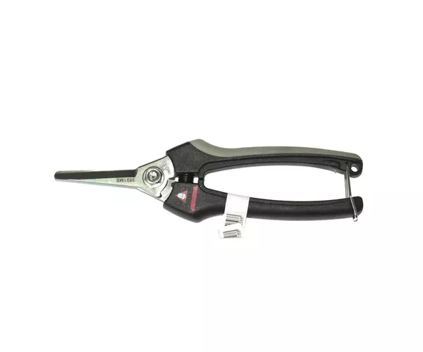 Секатор для збору винограду Bellota, артикул 3621 INOXCEMB.B