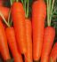 Морква Навал F1 кал. 1,8-2,0 мм (Насіння) Bejo Zaden - 1 000 000 шт