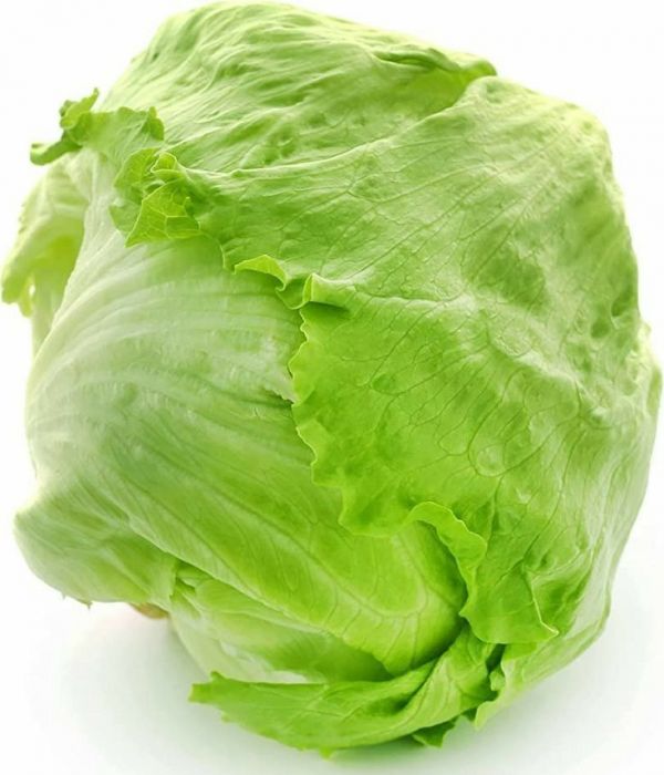 Салат Платінас (Насіння) Rijk Zwaan - 5000 драже