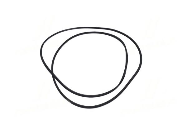 Кільце ущільнювальне гальмівного диска (R125667) John Deere