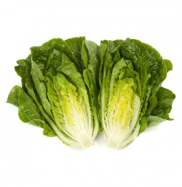 Салат Рафаель (Насіння) Rijk Zwaan - 5000 драже