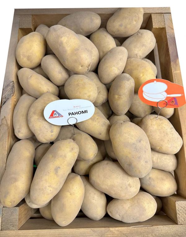 Картофель Раноми Agrico - 20 кг