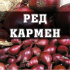 Цибуля Кармен TOP - 10 кг