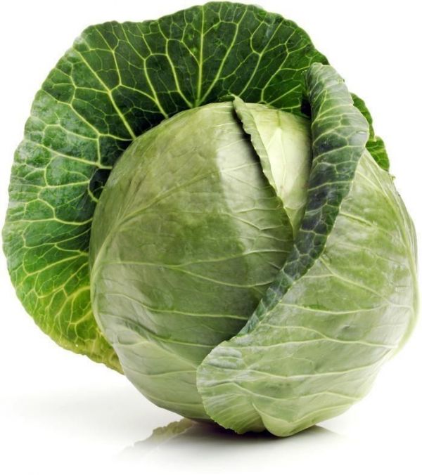 Капуста Рейма F1 (калібр) (Насіння) Rijk Zwaan - 2500 шт