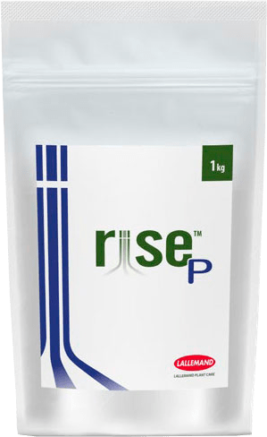Инокулянт Райс Пи (Rise P) - 1 кг