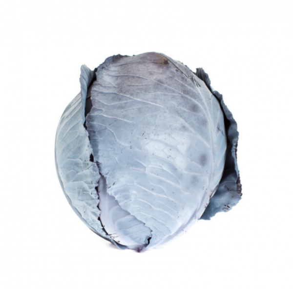 Капуста червоноголова Родіма F1 калібр. (Насіння) Rijk Zwaan - 2500 шт