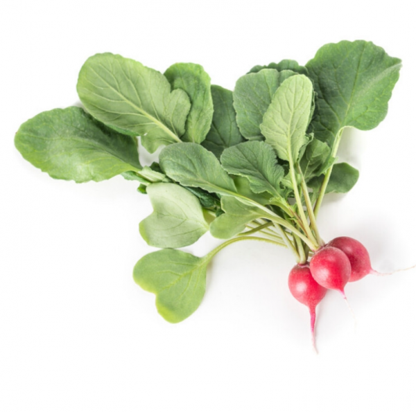 Редиска Ронділ (Насіння) Rijk Zwaan - 250 гр