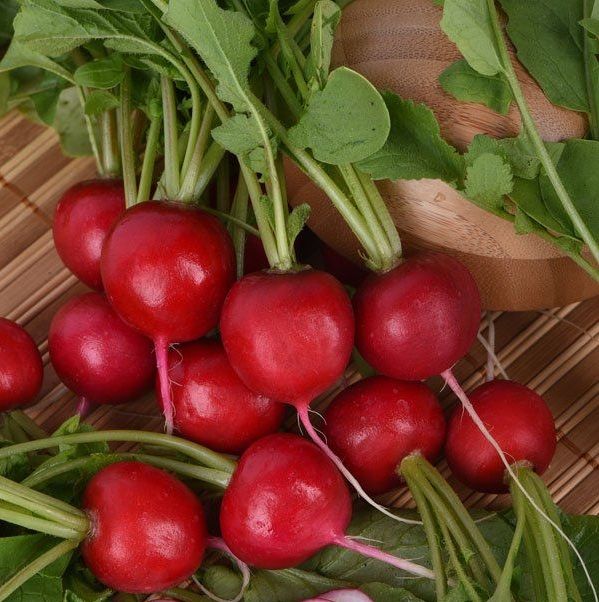 Редиска Ронділ (Насіння) Rijk Zwaan - 50 гр