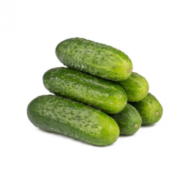 Огірок Рубато F1 (Насіння) Rijk Zwaan - 1000 шт