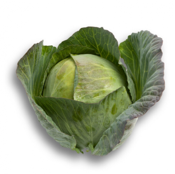 Капуста Селма F1 (Насіння) Rijk Zwaan - 2500 шт