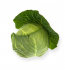 Капуста Силима F1 (Семена) Rijk Zwaan - 2500 шт