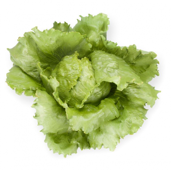 Салат Сілвінас (Насіння) Rijk Zwaan - 5000 шт