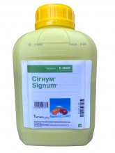 Фунгіцид Сігнум BASF - 1 кг