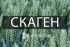 Озима пшениця Скаген Saaten Union - 0,5 т (бег)