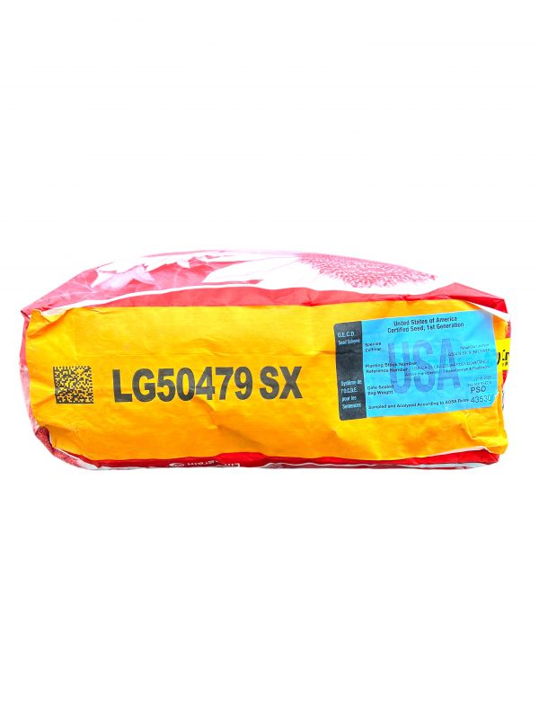 Семена подсолнечника LG 50479 SX K Limagrain