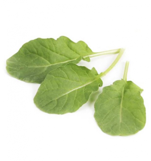 Рукола Спаркл (Насіння) Rijk Zwaan - 1 000 000 шт