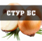 Лук Стур БС Broer - 20 кг