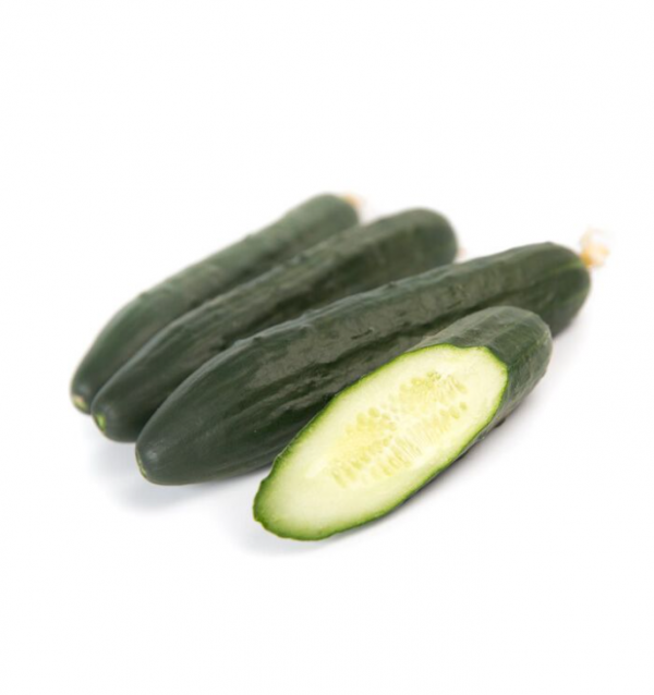 Огірок Святогор F1 (Насіння) Rijk Zwaan - 1000 шт