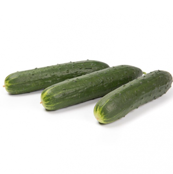 Огірок Святогор F1 (Насіння) Rijk Zwaan - 1000 шт