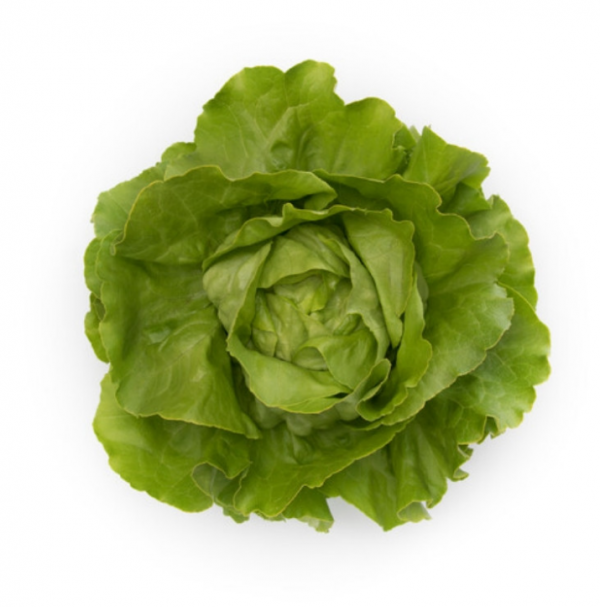 Салат Томбело (Семена) Rijk Zwaan - 5000 шт