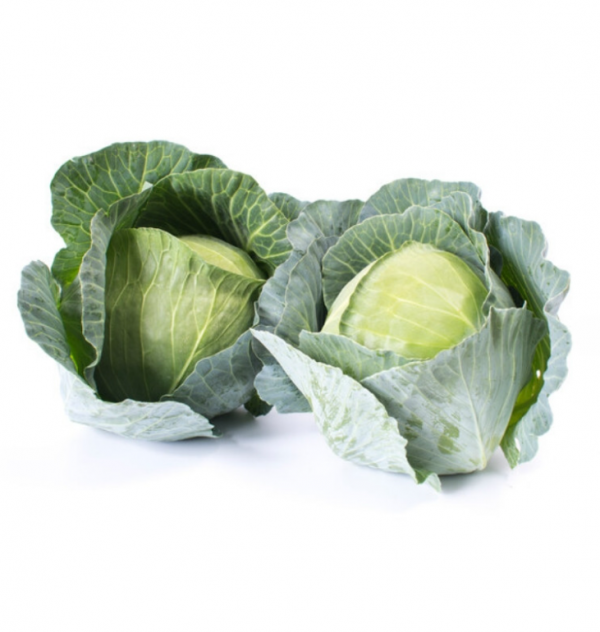 Капуста Топма F1 (калібр) (Насіння) Rijk Zwaan - 2500 шт