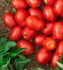 Томат Уссар (Семена) Nunhems - 1000 шт