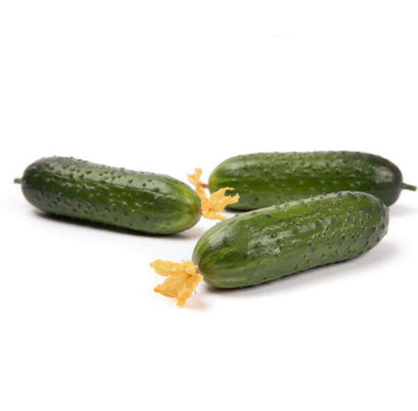 Огурец Валигора (Семена) Rijk Zwaan - 1000 шт
