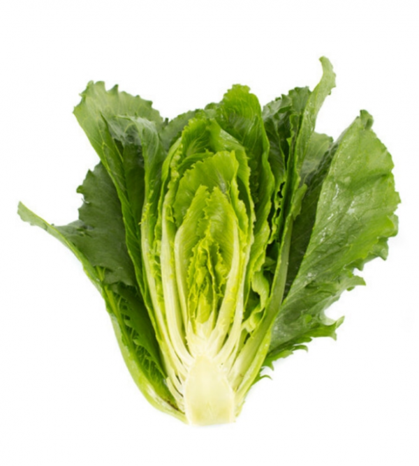 Салат Веродіта (Насіння) Rijk Zwaan - 5000 драже