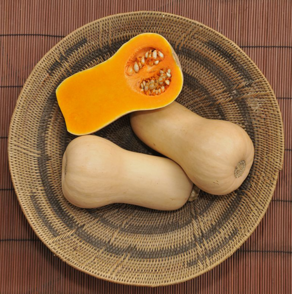 Гарбуз Вінес (Насіння) Sakata - 100 шт