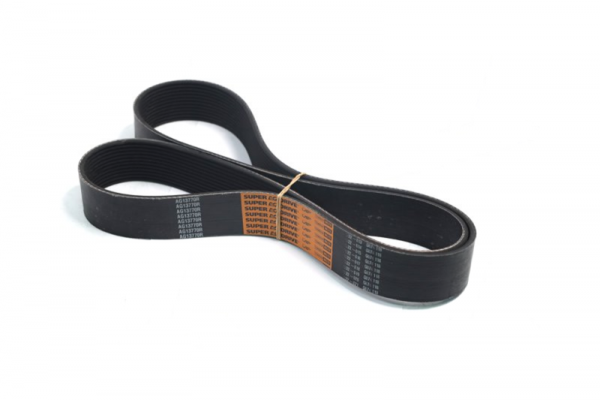 Ремінь багаторучної Massey Ferguson (TIMKEN BELTS) AG13770R