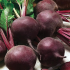 Свекла столовая Детройт (Семена) Clause - 1 кг